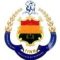 iinrlogo International Institute of Nursing and Research IINR